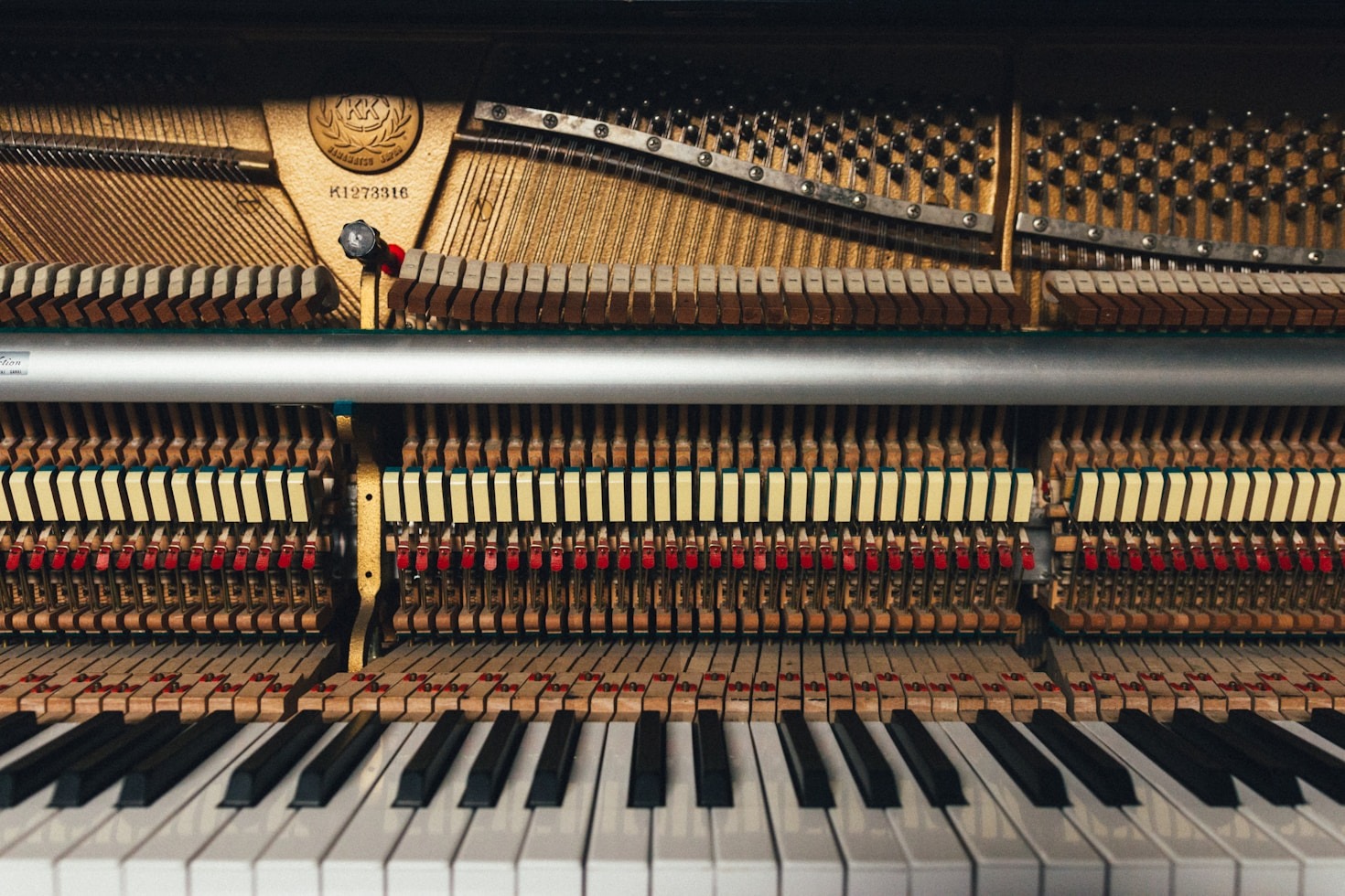 Accordatura e Restauro Pianoforti.
